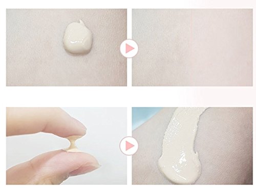 Farm Stay - Fond de teint liquide de la série maquillage - 40g
