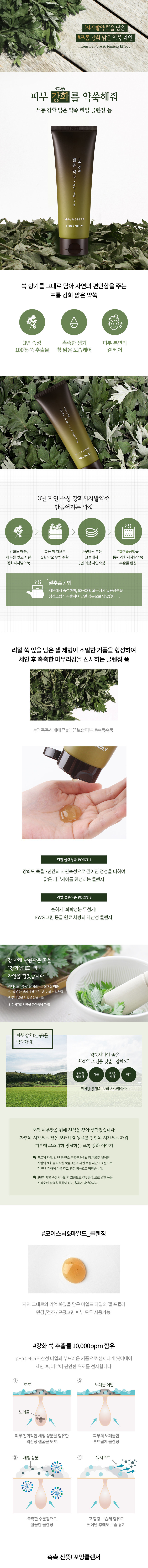 TONYMOLY - From Ganghwa Artemisia Real Foam - 150ml