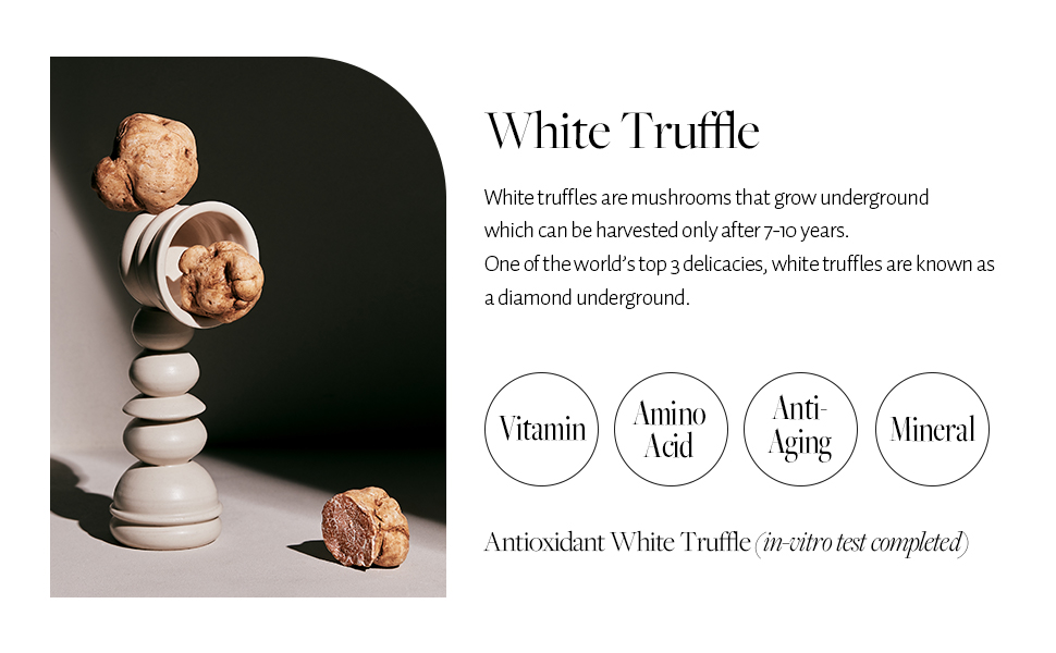 d'Alba - White Truffle Moisturizing Cream - 50g