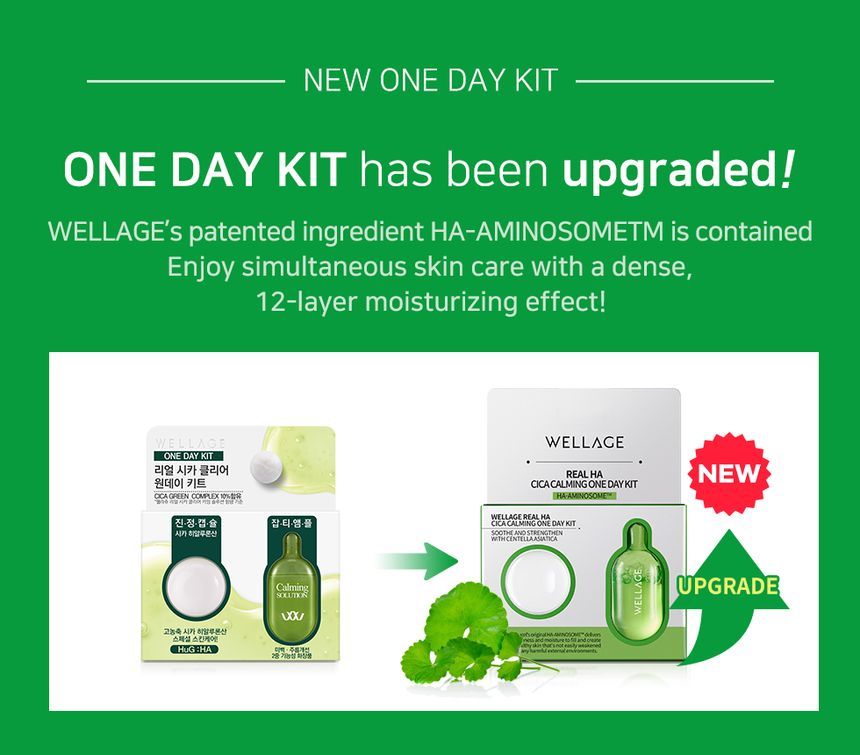 Wellage - Real Cica Calming One Day Kit - 1pc