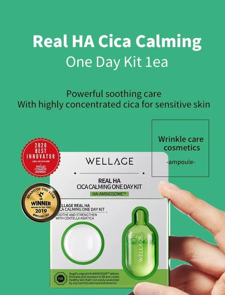 Wellage - Real Cica Calming One Day Kit - 1pc