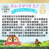 Ikko - Premium Horse Oil Balancing Lotion - 140ml