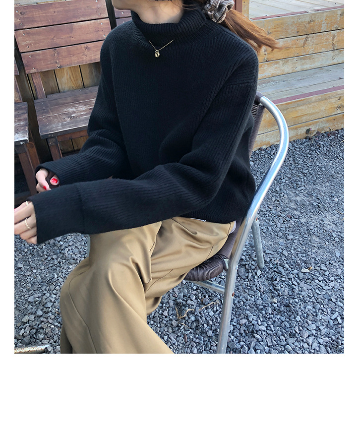 Rosy.B - Turtleneck Ribbed Plain Top