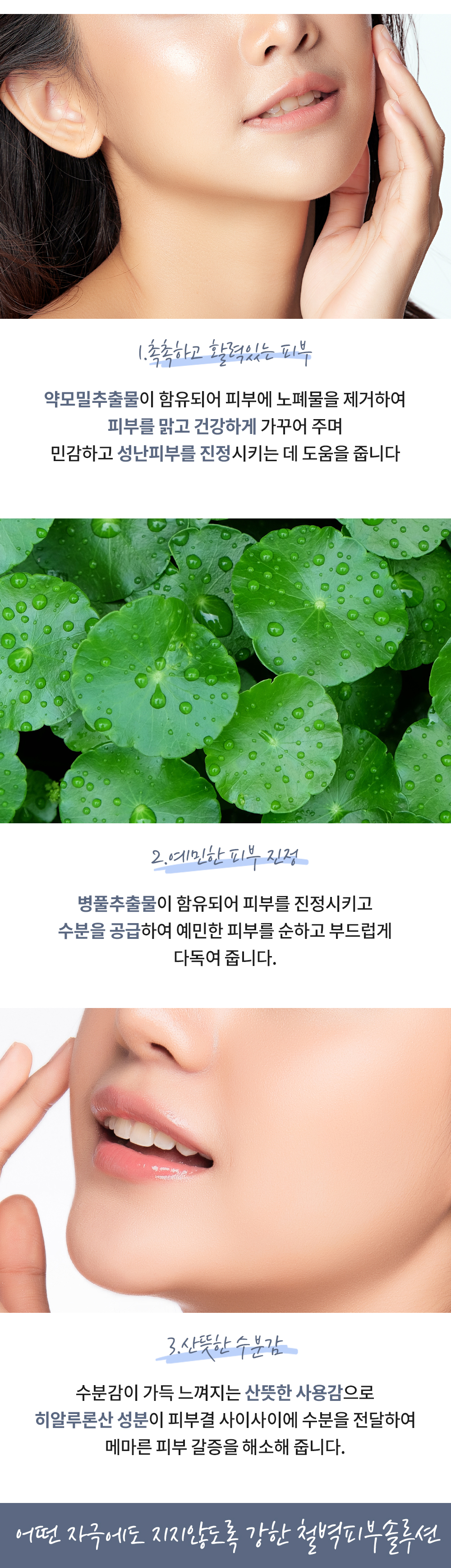 Shop esfolio - Hyaluronic Acid Houttuynia Cordata Cream - 50g | Stylevana